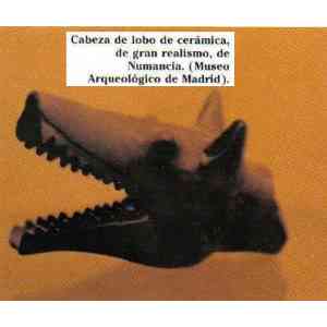 Click para ampliar. Pulsa en el nombre para ver la ficha. Cabeza de lobo de Numancia